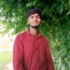 sheikh.ali.12