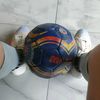 farras012
