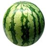 sandia_2023t