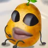 kemchuoiacc2