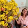 hunhmai242