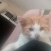 charlieh5794