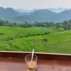 thao.nguyen8492