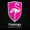 Flamingo Myanmar