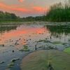 akulka_bs24
