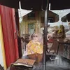 cunek_awa