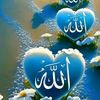 user8197501206323