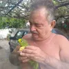 adaornogueira1