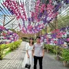 dinh.thanh001