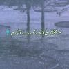 hajizulifqar481