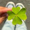 Chuu🍀