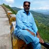 gulsheer9249