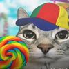 radit_melon