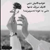nvinmm