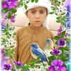 hameedhameed5813