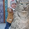 bayazed_tiger_kz