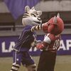 fanspersib167