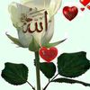 user4659208784605