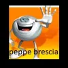 scemichilegge