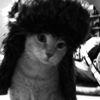jxst_lamb