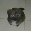 susanaguirado0