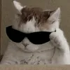 n1co_hxt