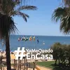 ivanadamovicterra