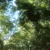 igorot_lover05