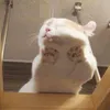 alienn_14