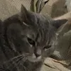 tthatysk
