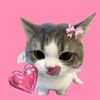 user818084571127