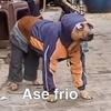 ase_frio4