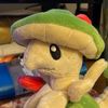 user17216279831170