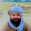 arhamhussain206