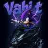 vahi.t