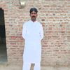 lamber393