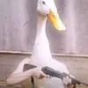 saotaosaosao