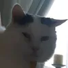 jakerelsxom
