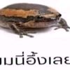 user4510040638126