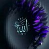 aniq_amsyar16