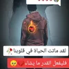 amgad.kalf