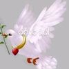 zawwin6465