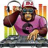 music_hublb