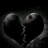 user3779128887772