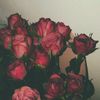 liss.ex_97