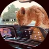 agha_505