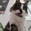 laurawyxng6