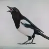 lhibou_niche_nihoniba
