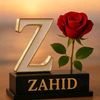 rana.zahid7814
