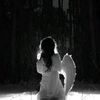 user496031780